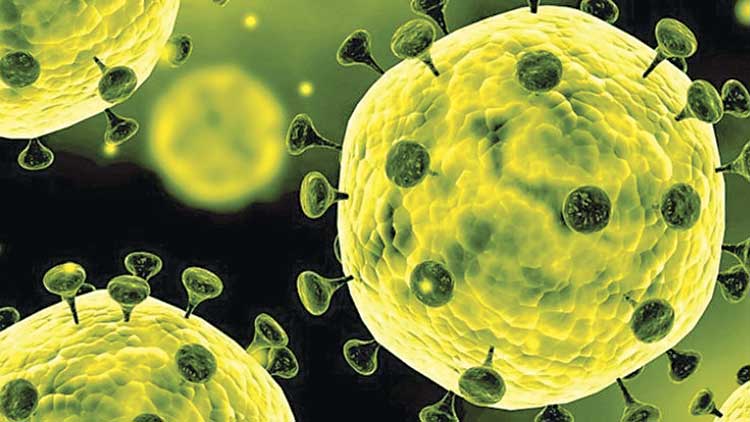 കോവിഡ്​: വിഭ്രാന്തി അരുത്, ചികിത്സ തേടുക