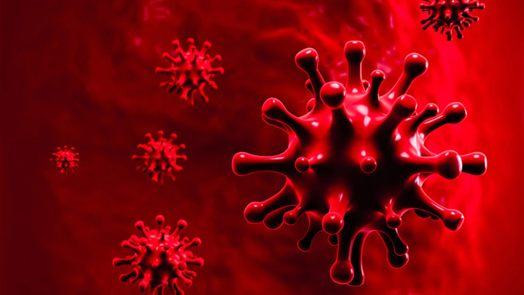 ഇന്ന് 791 പേർക്ക് കോവിഡ്; 532 പേർക്ക് സമ്പർക്കത്തിലൂടെ രോഗം