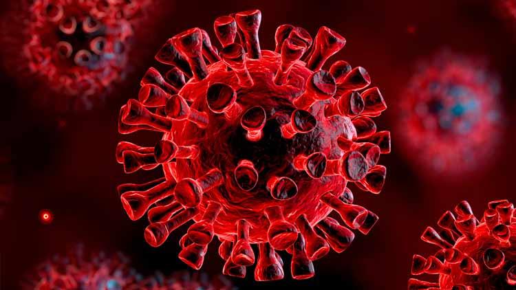 മ​ല​യാ​ളി രോ​ഗ​ബാ​ധി​ത​രി​ൽ ന​ല്ല പ​ങ്കും​ ബാ​ച്ച്​​ല​ർ താ​മ​സ​ക്കാ​ർ