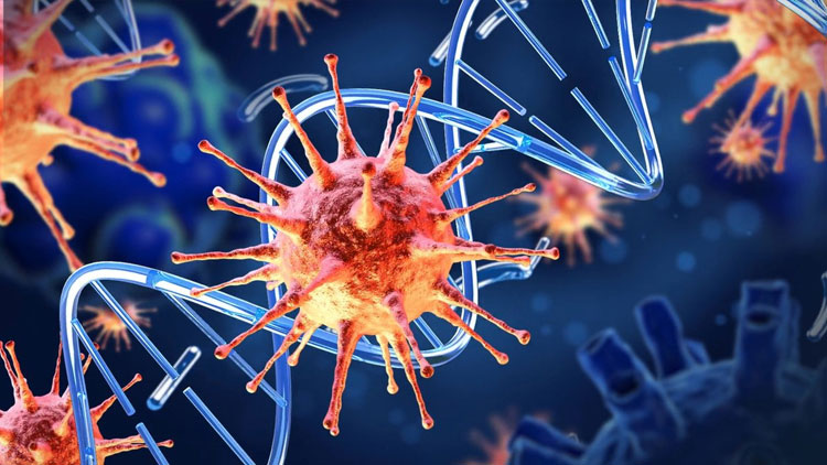 സംസ്ഥാനത്ത് 29 പേർക്ക് കൂടി കോവിഡ്