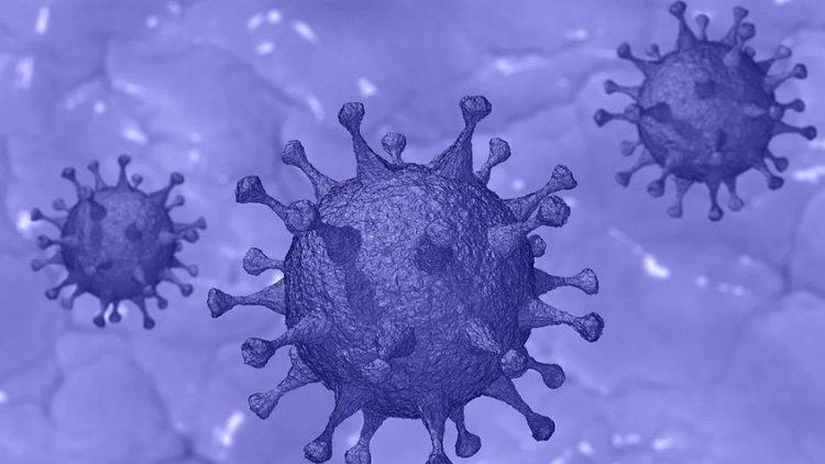 സംസ്ഥാനത്ത് ഇന്ന് 91 പേർക്ക് കോവിഡ്; 11 പേർക്ക് രോഗമുക്തി