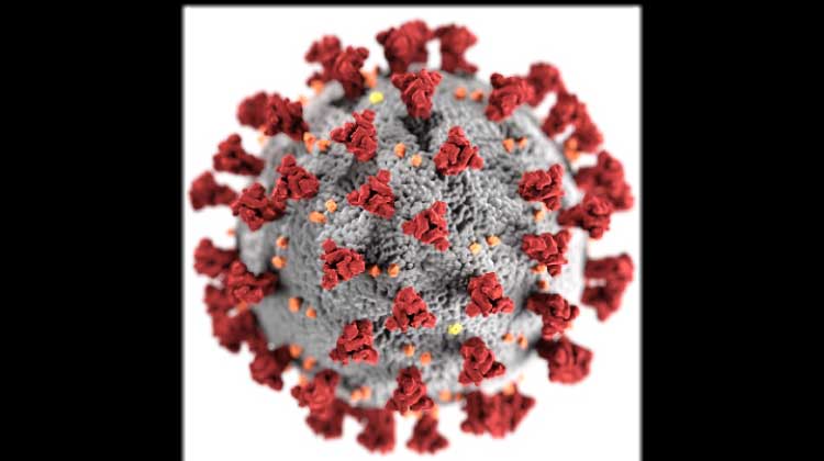 ഏ​കാ​ന്ത വി​ര​സ​ത അ​ക​റ്റാ​ന്‍ നി​ര​വ​ധി നി​ർ​ദേ​ശ​ങ്ങ​ളു​മാ​യി വി​ദ​ഗ്​​ധ​ർ