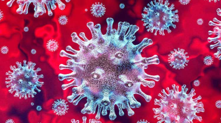 സംസ്ഥാനത്ത് 42 പേർക്ക് കൂടി കോവിഡ്; രണ്ടുപേർക്ക് രോഗമുക്തി