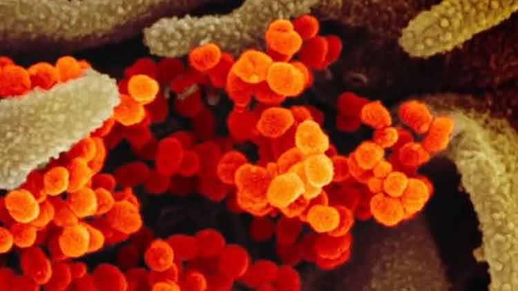 സൗദിയിൽ മ​ര​ണ സം​ഖ്യ 34; ​േരാ​ഗി​ക​ൾ 2,385