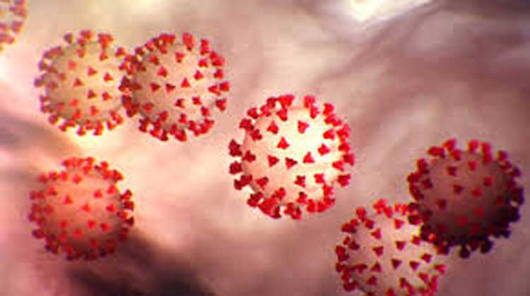 69 പേർക്ക്​ കൂടി ഒമാനിൽ കോവിഡ്​ 