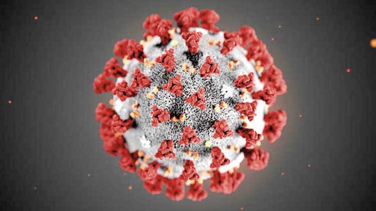 കോ​വി​ഡ്​: യു.​എ.​ഇ​യി​ൽ  ആ​റ്​ പു​തി​യ രോ​ഗ​ബാ​ധി​ത​ർ