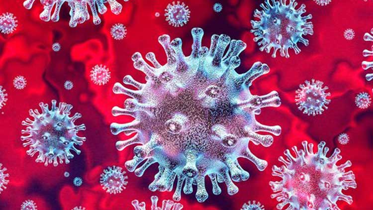 കുവൈത്തിൽ 638 പേർക്ക്​ കൂടി കോവിഡ്​; 520 പേർക്ക്​ രോഗമുക്​തി