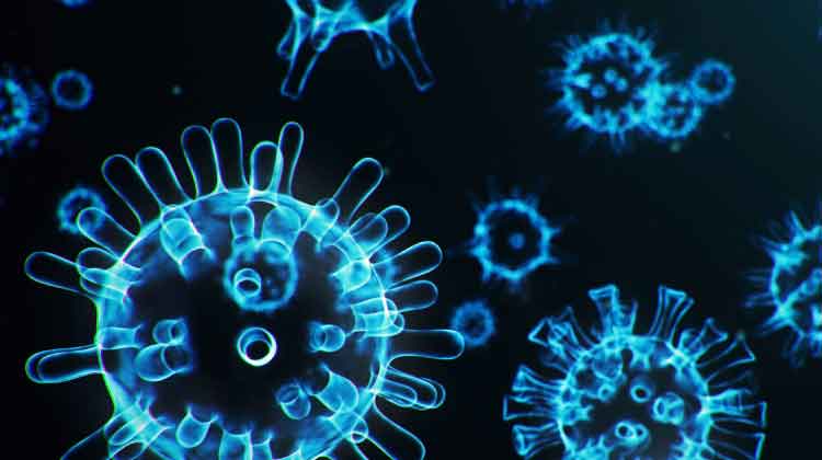 കു​ഴ​ഞ്ഞു​വീ​ണ്​ മ​രി​ച്ച തൃ​ശൂ​ർ സ്വ​ദേ​ശി​ക്ക്​ കോ​വി​ഡ്​ സ്​​ഥി​രീ​ക​രി​ച്ചു 