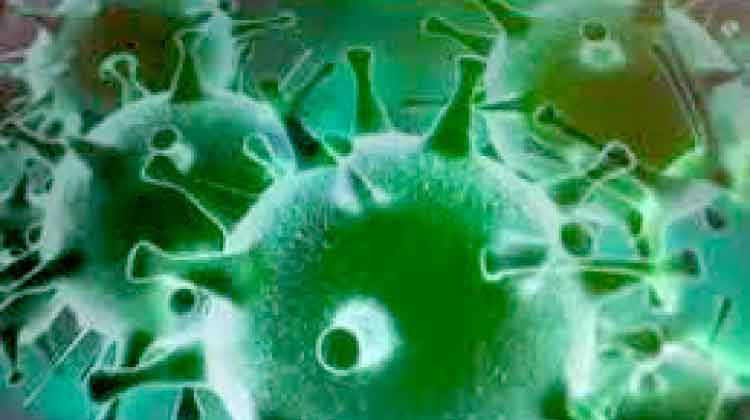 രോഗമുക്​തർ കൂടുന്നു; ഇതുവരെ നടത്തിയത്​ 25 ലക്ഷം പരിശോധന