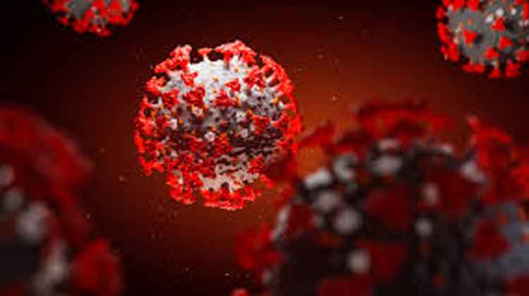 കോ​വി​ഡ് ഇ​വി​ടെ​യു​ണ്ട് പ്ര​തി​രോ​ധം ശാ​സ്ത്രീ​യ​മാ​വ​ണം