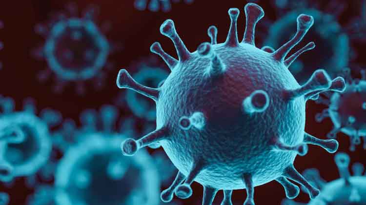 വയനാട്ടിൽ ഇന്ന്​ മൂന്നുപേര്‍ക്ക് കൂടി കോവിഡ്; രണ്ടുപേര്‍ക്ക്​ രോഗമുക്തി