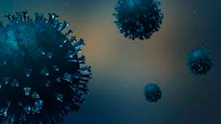 കോവിഡ്​: ഇന്നലെ രോഗികൾ 915, രോഗമുക്​തർ 2401