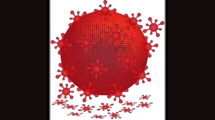 ഇടുക്കിയിൽ നിരീക്ഷണത്തിൽ കഴിഞ്ഞയാൾ കോവിഡ് ബാധിച്ച് മരിച്ചു