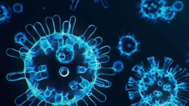 വയനാട്ടിൽ പുതിയ കണ്ടെയ്​ൻമെൻറ് സോണുകള്‍