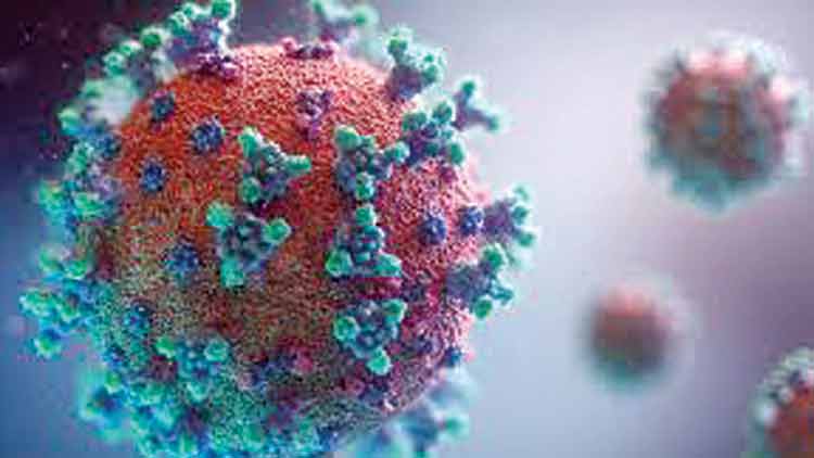 നഴ്​സ്​, ആരോഗ്യപ്രവർത്തകരെ സ്​കൂളുകളിൽ പാർപ്പിക്കും