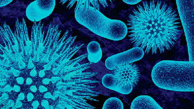 സൗദി അറേബ്യയിൽ കൊറോണ സ്ഥിരീകരിച്ചു; ഇറാനിൽ നിന്നെത്തിയ സൗദി പൗരന് രോഗബാധ