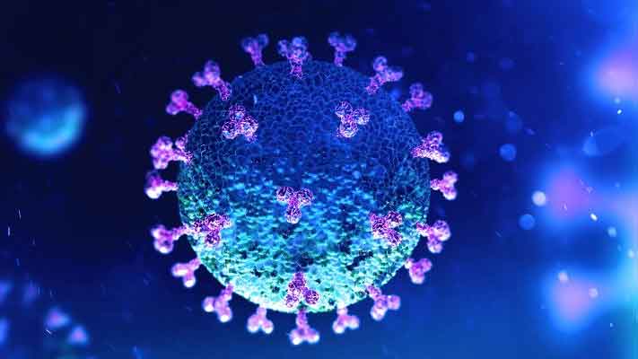 കോ​വി​ഡ് സ​മ്പ​ർ​ക്ക സാ​ധ്യ​ത; ചേലേമ്പ്രയിലും പെരുവള്ളൂരിലും കർശന നിയന്ത്രണം