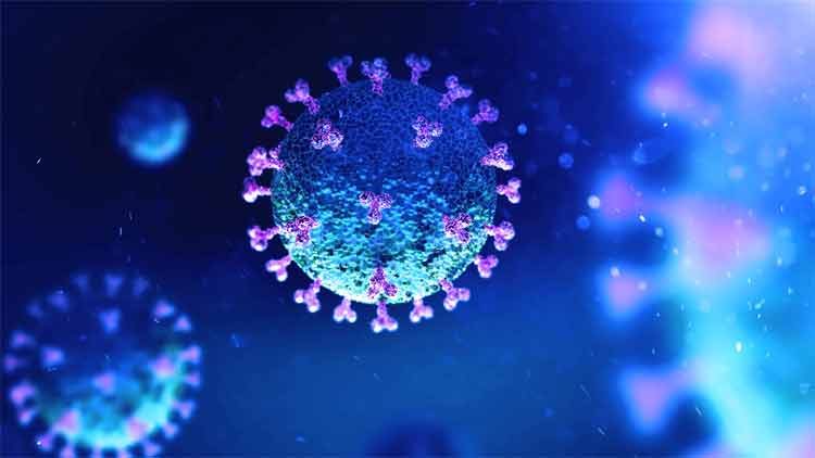 സൗദിയിൽ​ 31 മരണം; 2591 രോഗികൾ