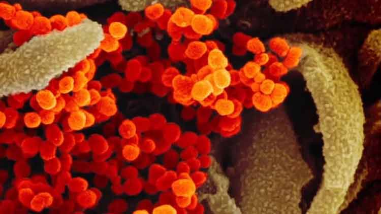 സൗദിയിൽ രോ​ഗി​ക​ൾ 2500 ക​ട​ന്നു; മ​ര​ണം 38