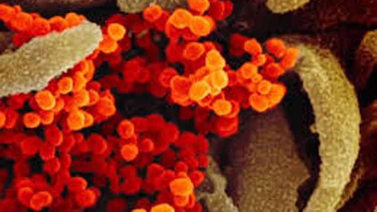 വി​ദ്യാ​ർ​ഥി​ക​ളെ​യും രോ​ഗി​ക​ളെ​യും നാ​ട്ടി​ലെ​ത്തി​ക്ക​ണം –വേ​ൾ​ഡ് മ​ല​യാ​ളി ഫെ​ഡ​റേ​ഷ​ൻ