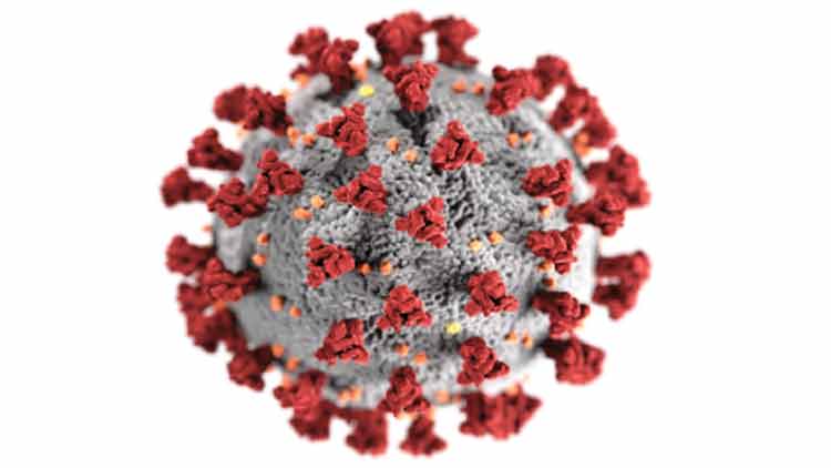 റാ​സ​ല്‍ഖൈ​മ​യി​ലെ  തൊ​ഴി​ലാ​ളി​ക​ള്‍ക്ക് മ​റ്റ്​  എ​മി​റേ​റ്റു​ക​ളി​ലേ​ക്ക്​ വിലക്ക്​