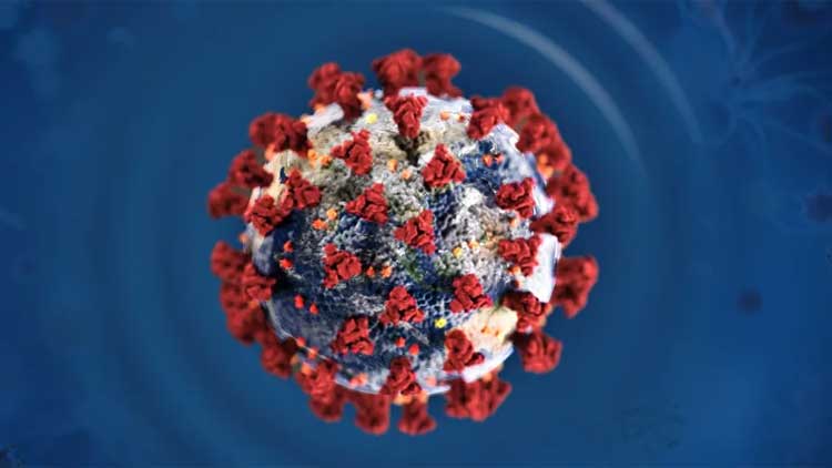 കൂട്ടംകൂടൽ നിരോധിക്കൽ നിയമം വീടുകളിലും ബാധകം