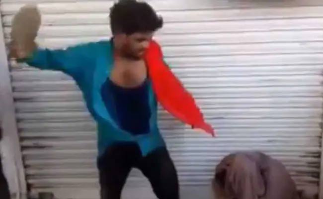 cow-slauter cow-slauter