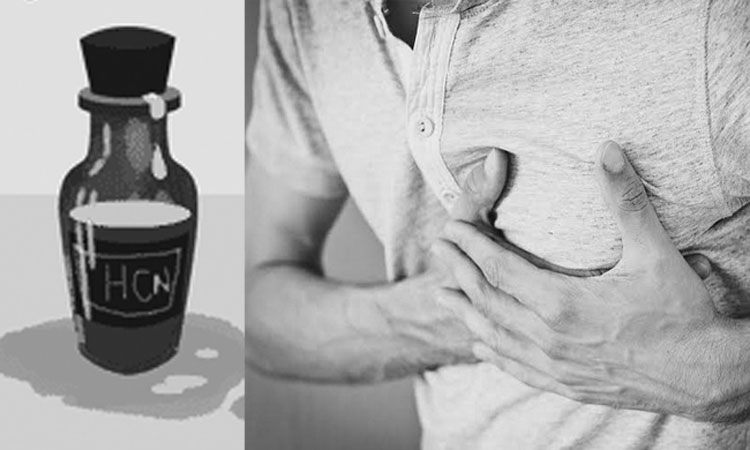 കല്ലറ തുറന്നുള്ള പോസ്​റ്റ്​ മോർട്ടത്തിൽ സയനൈഡ്​ കണ്ടെത്താനാകില്ലെന്ന്​ വിദഗ്​ധർ