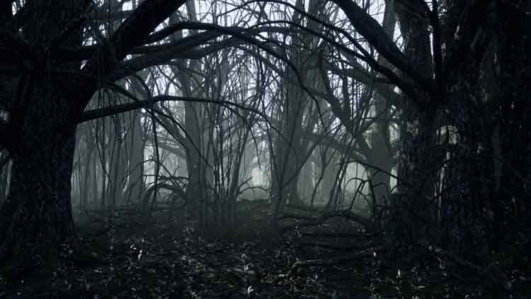 കൂരിരുട്ടിൽ കൊടുംവനത്തിൽ മണിക്കൂറുകൾ; സുമേഷിന് തുണയായത് മനക്കരുത്ത്