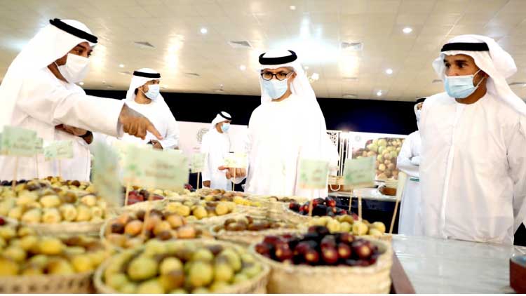 ആളും ആരവവുമില്ലാതെ ലിവ ഈന്തപ്പഴോത്സവം കൊടിയിറങ്ങി ആളും ആരവവുമില്ലാതെ ലിവ ഈന്തപ്പഴോത്സവം കൊടിയിറങ്ങി