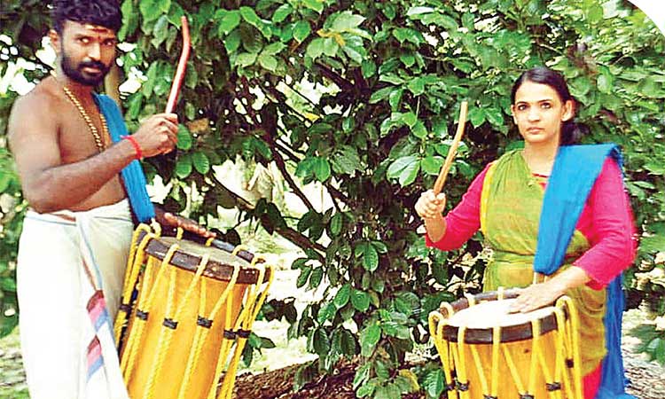 ഡോ. ​ദേ​വി​ക​ക്ക്​ ദ​ന്ത​ചി​കി​ത്സ  മാ​ത്ര​മ​ല്ല, ചെ​ണ്ട​യും വ​ഴ​ങ്ങും