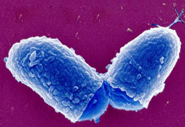 ഡിഫ്തീരിയ മരണങ്ങളും വാക്സിനേഷനും