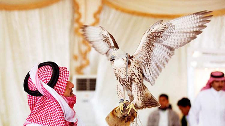 സൗ​ദി ഫാ​ൽ​ക​ൻ ഫെ​സ്​​റ്റി​വ​ലി​ന് തു​ട​ക്ക​ം