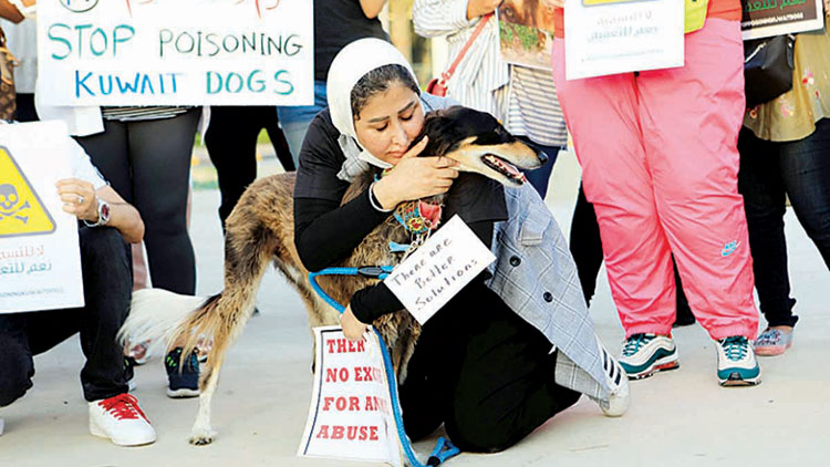 മൃ​ഗ​സ്​​നേ​ഹി​ക​ൾ ഇ​റാ​ദ സ്​​ക്വ​യ​റി​ൽ സ​മ​ര​ത്തി​നി​റ​ങ്ങി