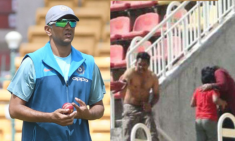 കാര്യവട്ടത്ത് തേനീച്ച ആക്രമണം; ദ്രാവിഡ് രക്ഷപ്പെട്ടത് തലനാരിഴക്ക്