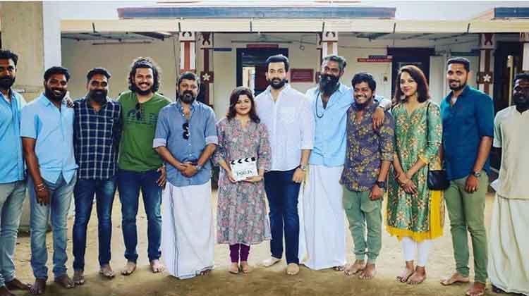 Drving licence movie poster