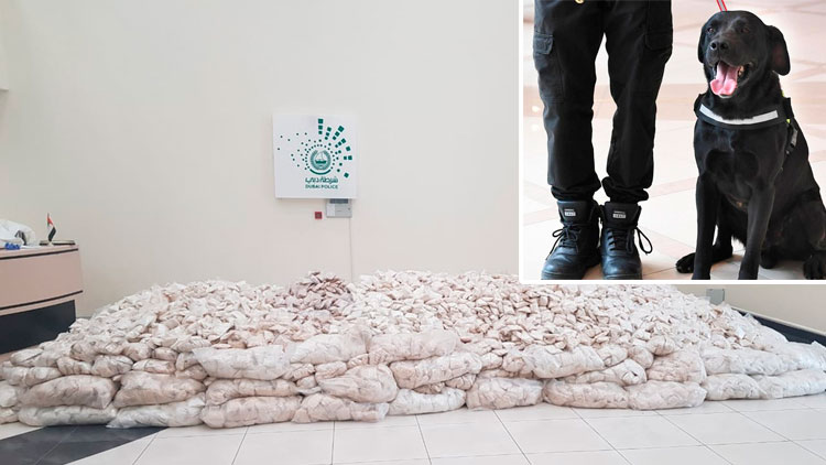 ​ലോ​ക​ത്തെ ഏ​റ്റ​വും വ​ലി​യ ല​ഹ​രി​ഗു​ളി​ക​വേ​ട്ട : ദു​ബൈ പൊ​ലീ​സി​നെ തു​ണ​ച്ച​ത്​  നാ​യ്​​ക്കു​ട്ടി​യു​ടെ മി​ടു​ക്ക്