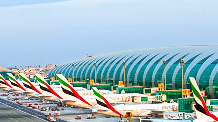 യാ​ത്ര​ക്കാ​ര​​െൻറ ബാഗേജിൽനിന്ന്​ മാങ്ങയെടുത്ത ഇന്ത്യക്കാ​ര​ന്​ 5000 ദിർഹം പിഴ