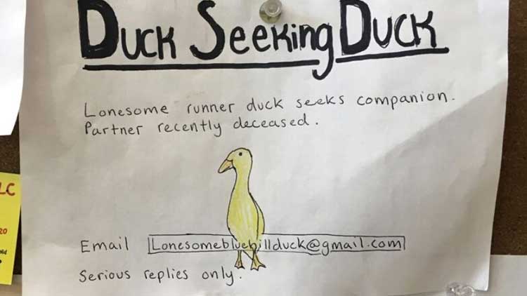 യു.​എ​സി​ൽ താ​റാ​വി​ന്​ ഇ​ണ​യെ തേ​ടി പ​ര​സ്യം