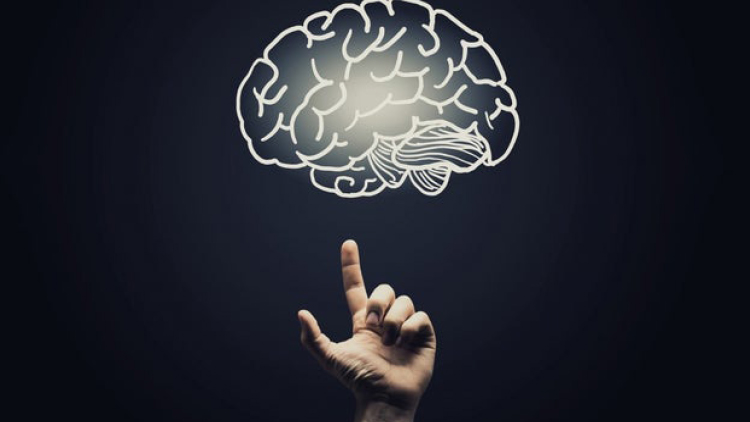 വിദ്യാഭ്യാസ നയരേഖയുടെ  രാഷ്​ട്രീയം