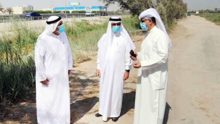 സൗ​ന്ദ​ര്യ​വ​ത്​​ക​ര​ണ​ത്തി​ന് ഈ​ന്ത​പ്പ​ന​ക​ള്‍ ഉ​പ​യോ​ഗി​ക്കും