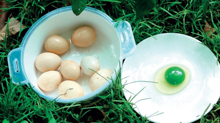 മുട്ടയിലെ പച്ചക്കരുവിന്​ കാരണം തീറ്റയിലെ മാറ്റം; അ​മ്പ​രി​പ്പി​ച്ച പ​ച്ച​മു​ട്ട​ക്ക് ഒ​ടു​വി​ൽ സൂ​പ്പ​ര്‍ ക്ലൈ​മാ​ക്സ്