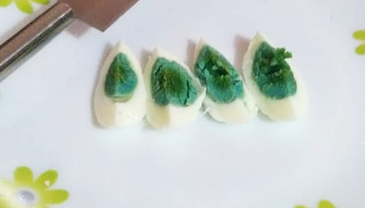 ‘പച്ചമുട്ട’യുടെ ചുരുളഴിക്കാൻ ഗവേഷകസംഘം