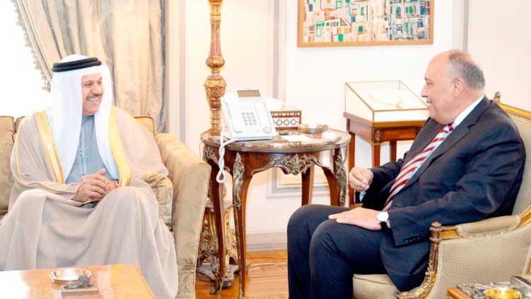 ഈ​ജി​പ്​​ത്-​ബ​ഹ്റൈ​ന്‍ വി​ദേ​ശ​കാ​ര്യ മ​ന്ത്രി​മാ​ര്‍ കൂ​ടി​ക്കാ​ഴ്ച ന​ട​ത്തി