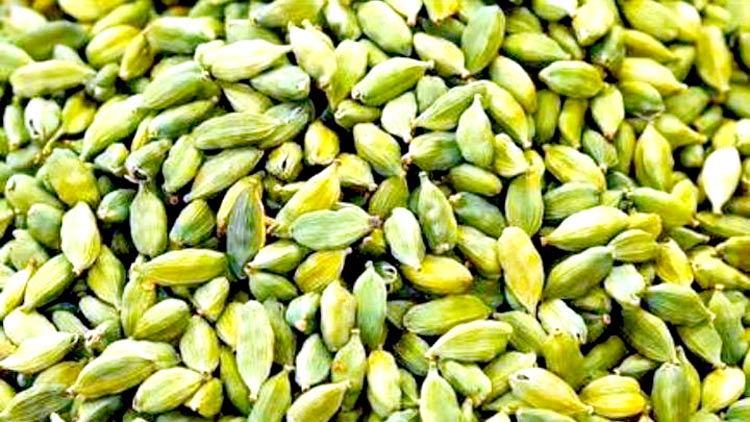 ഏലക്ക കിട്ടാക്കനി;  വിലയോ പൊള്ളും