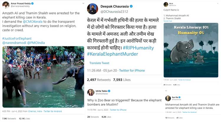 ആദ്യം മലപ്പുറം, പിന്നീട്​ മുസ്​ലിം പേരുകൾ; ആന ചരിഞ്ഞ സംഭവത്തിൽ വർഗീയ വിദ്വേഷം വിതറി സംഘ്​പരിവാർ