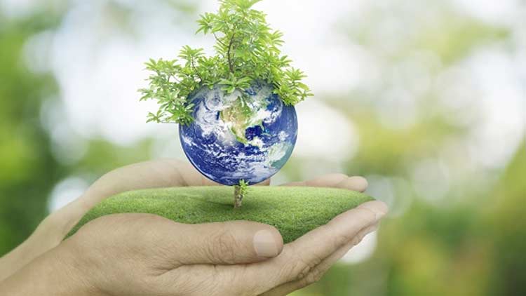 പരിസ്​ഥിതി സംരക്ഷണ​ നിയമങ്ങൾ കടുപ്പിച്ച്​ സൗദി അറേബ്യ