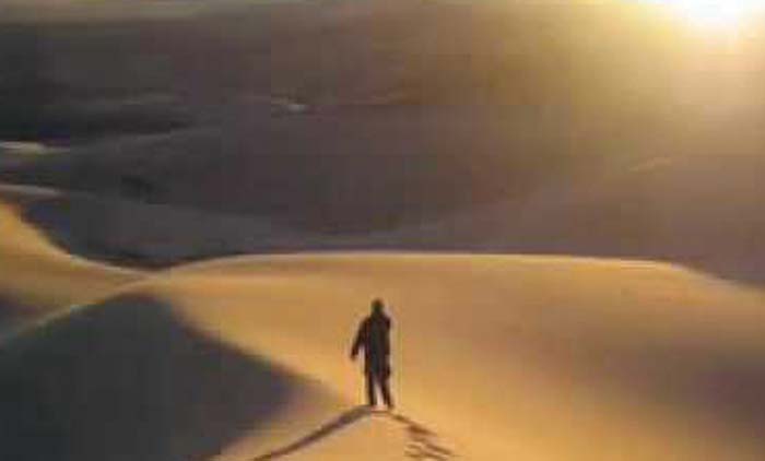 ‘പ്രവാസികളെ ആവശ്യമുണ്ട്​; വെള്ളം കോരാനും വിറക്​ വെട്ടാനും’