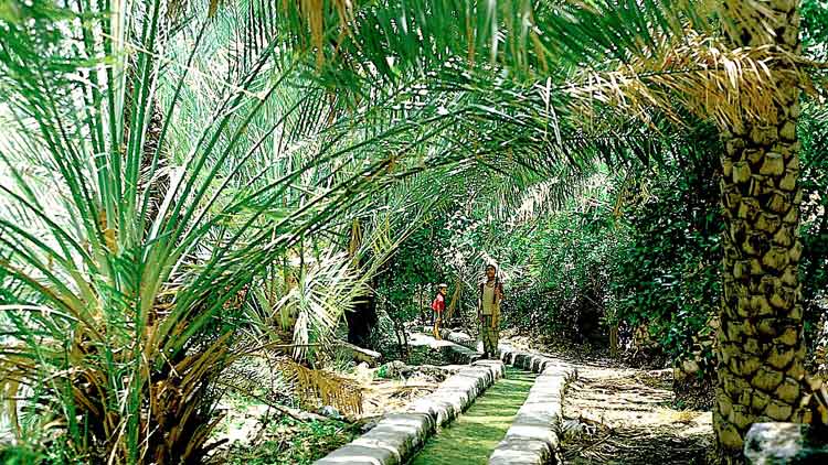 ഫല​െജന്ന പേരുണ്ട്​; പഴയ പ്രതാപമില്ല