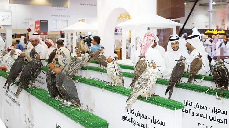 ഫാ​ൽ​ക്ക​ണു​ക​ളെ തൊ​ട്ടു​ത​ലോ​ടാം, സ്വ​ന്ത​മാ​ക്കാം...